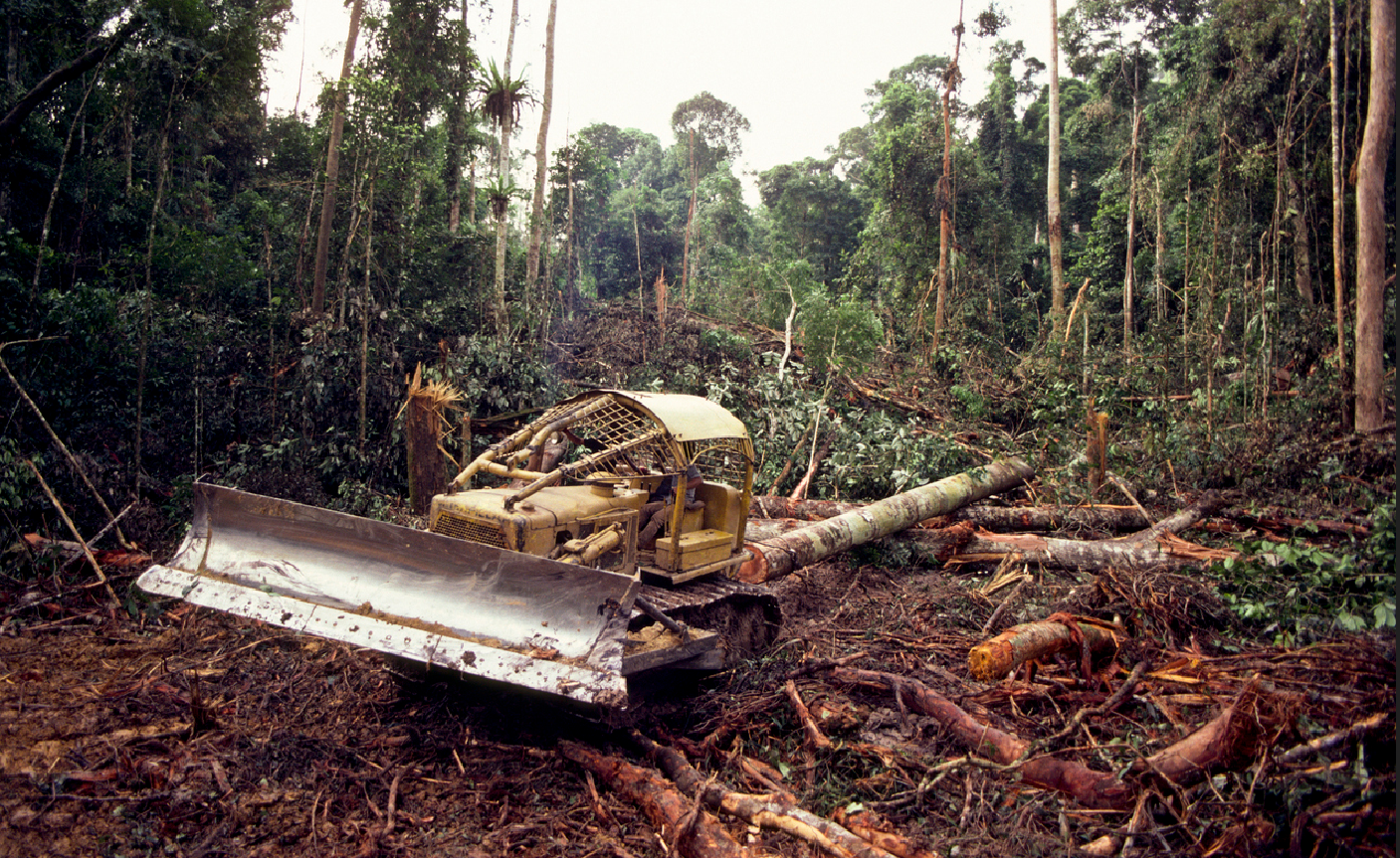 Rodung eines tropischen Regenwaldes mit Bulldozer – Symbol für die Umweltzerstörung durch konventionelle Holzgewinnung im Gegensatz zur nachhaltigen Alternative Bambus.