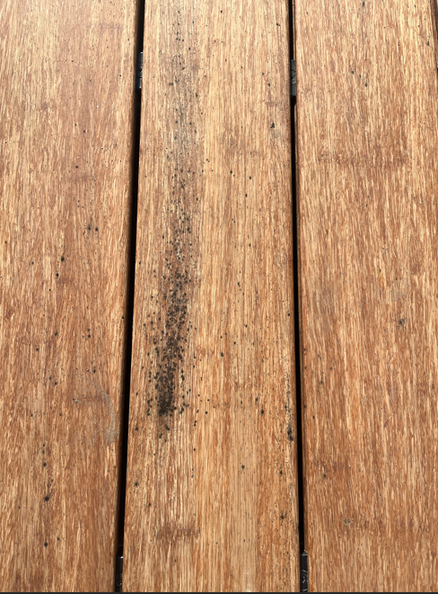 Schimmelbildung auf Bambus Terrassendielen.