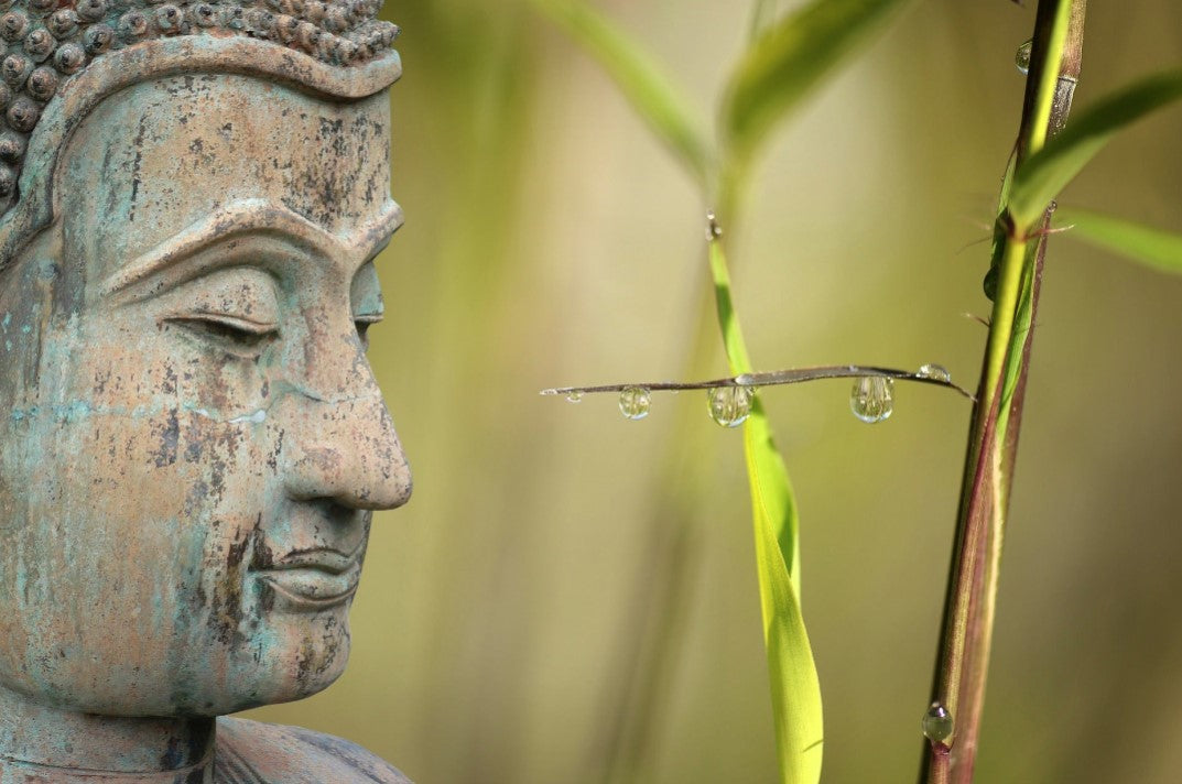 Buddhastatue und Bambus als Symbol für nachhaltige Bambus-Terrassendielen und umweltfreundlichen Terrassenbau.