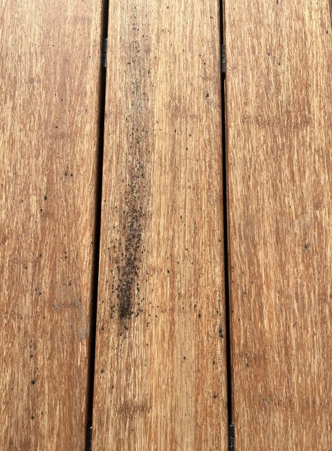 Nahaufnahme einer Bambus-Terrassendiele mit dunklen Schimmel- und Schmutzablagerungen vor der Reinigung und Pflege.
